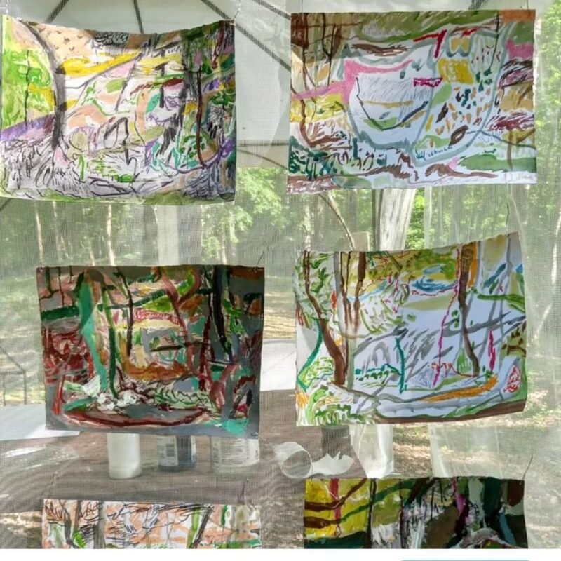 Forest drawings... Forest I