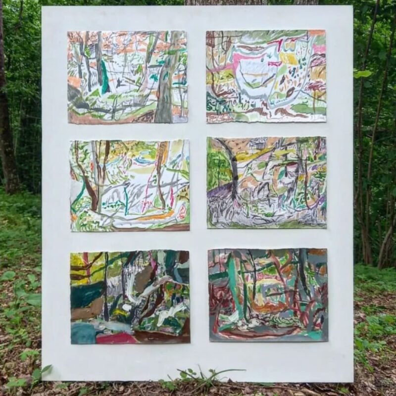 Forest drawings Forest I