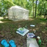 Forest drawings.......2 Forest I